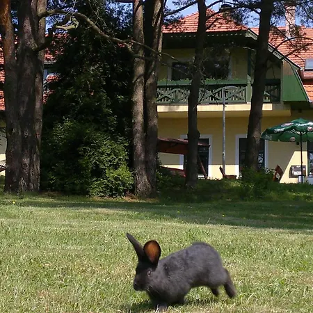 Apat Panzio Es Hajdina Etterem Apátistvánfalva