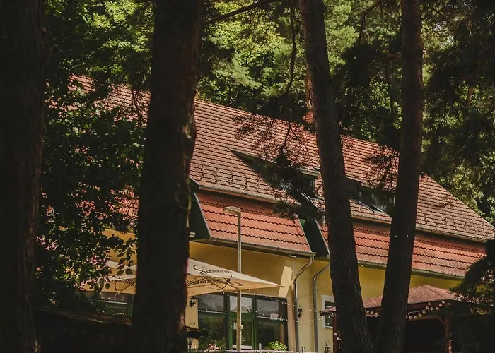 Apat Panzio Es Hajdina Etterem B&B Apátistvánfalva